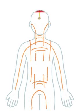 Map, energy flow, top of head.
